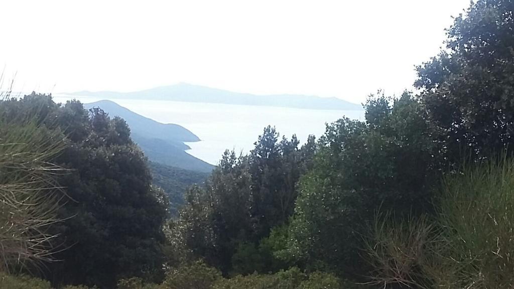 Hotel Rombino فونتيبلاندا المظهر الخارجي الصورة